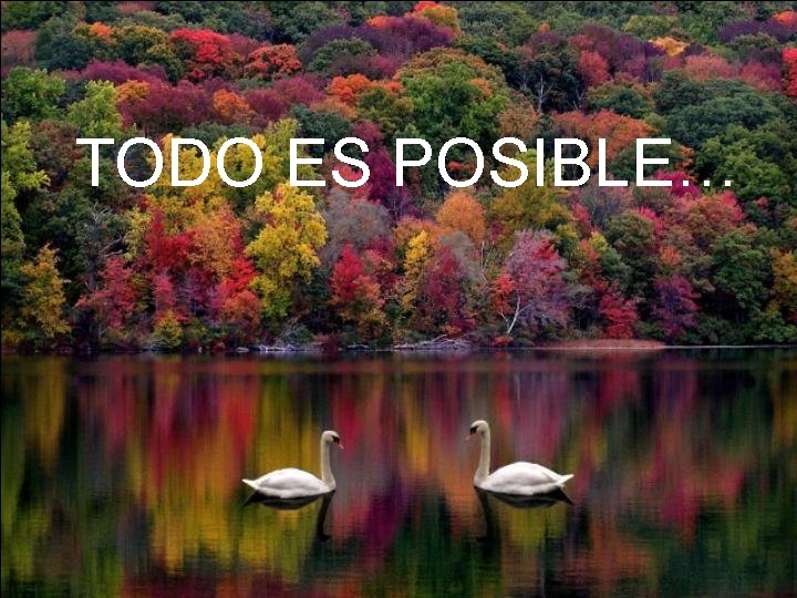 TODO ES POSIBLE… 