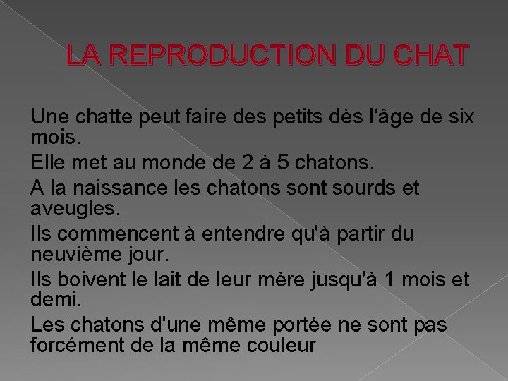 LA REPRODUCTION DU CHAT Une chatte peut faire des petits dès l‘âge de six