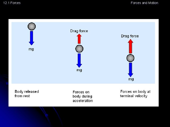 12. 1 Forces and Motion 