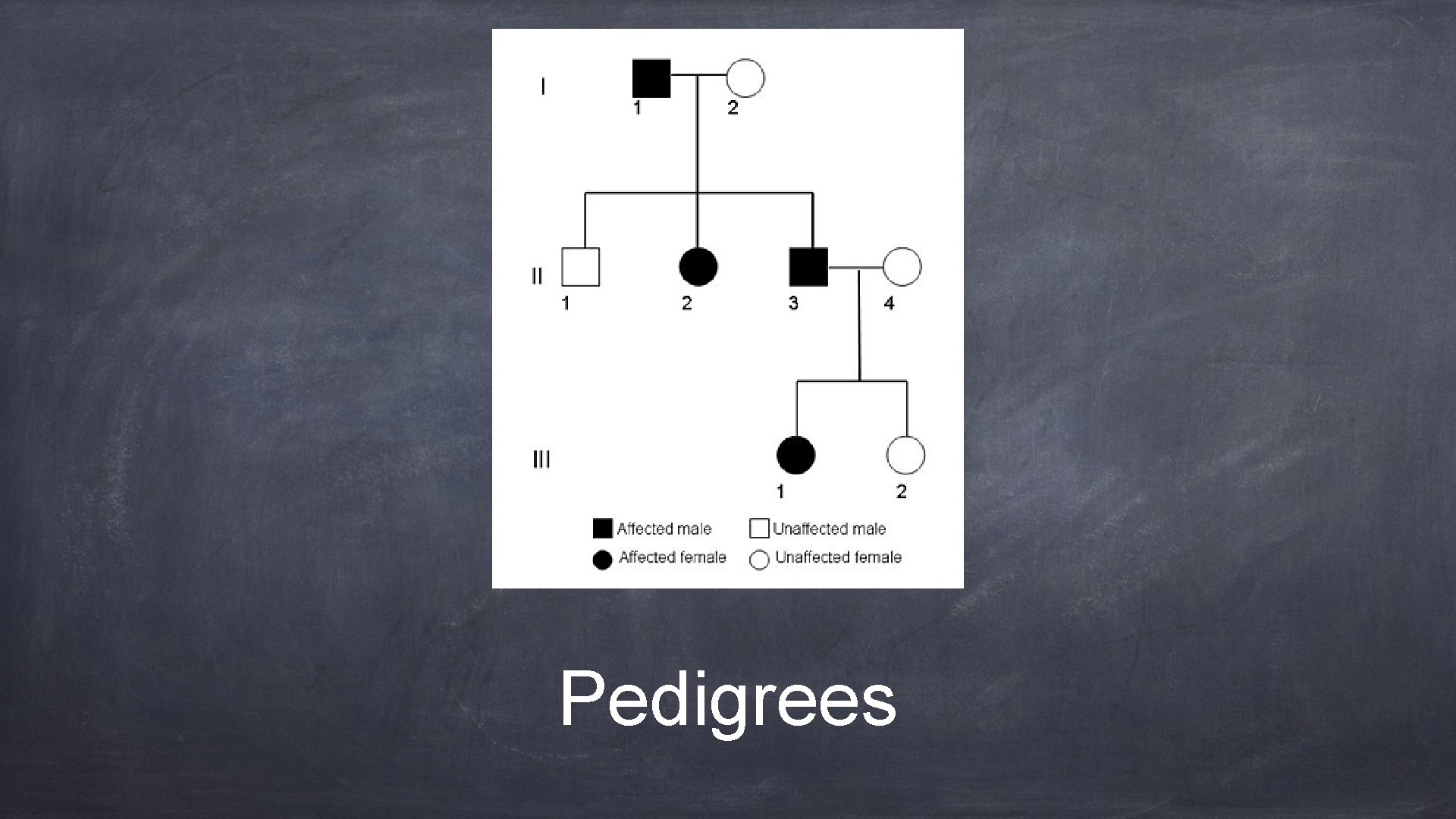 Pedigrees 