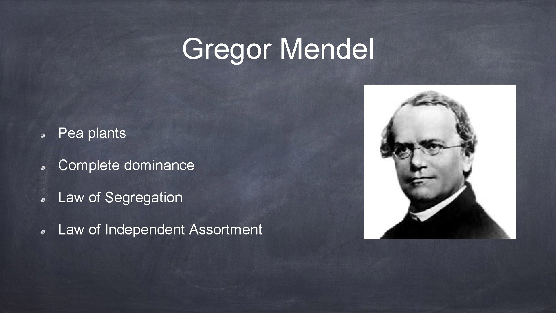 Gregor Mendel Pea plants Complete dominance Law of Segregation Law of Independent Assortment 