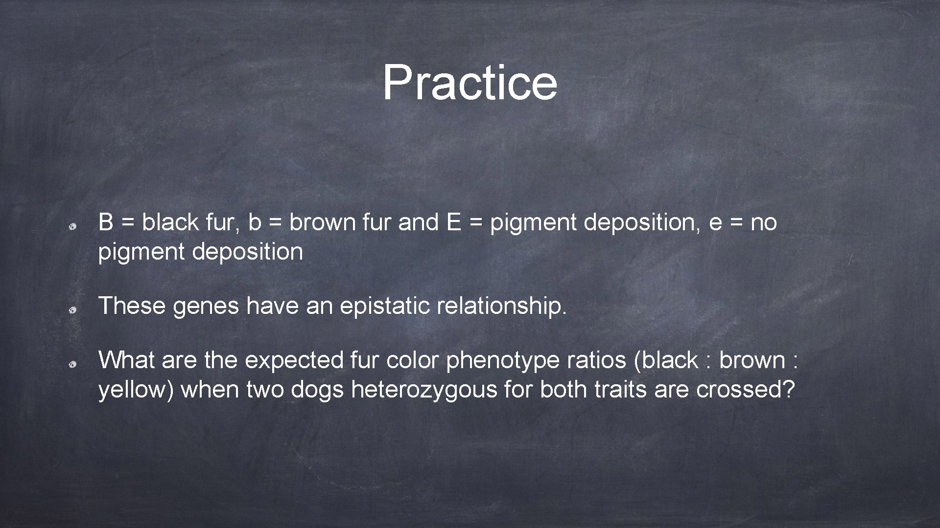 Practice B = black fur, b = brown fur and E = pigment deposition,