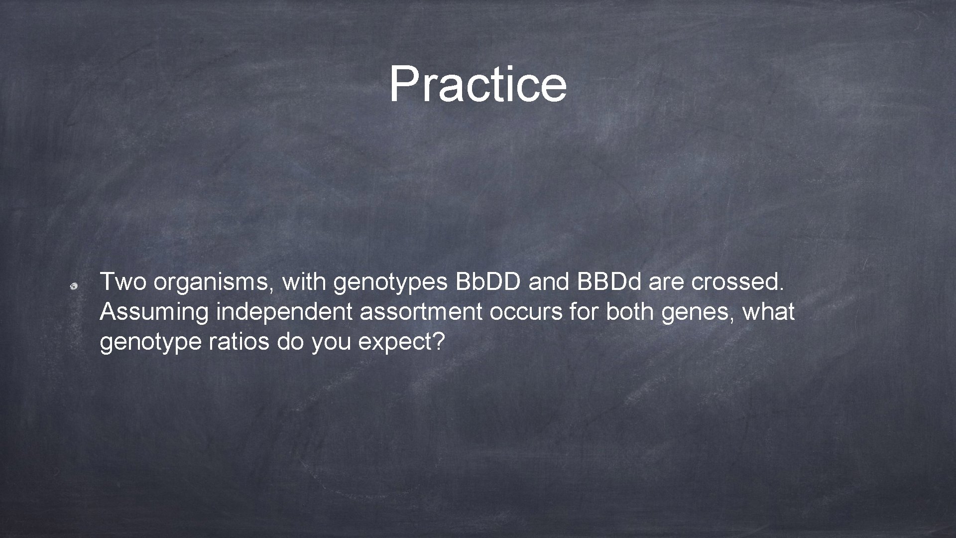 Practice Two organisms, with genotypes Bb. DD and BBDd are crossed. Assuming independent assortment