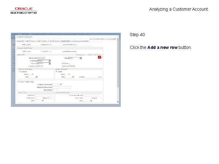 Analyzing a Customer Account Step 40 Click the Add a new row button. 