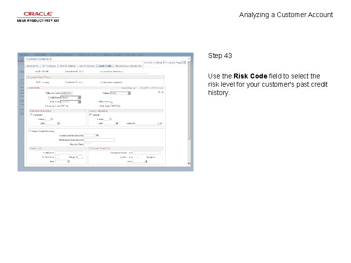 Analyzing a Customer Account Step 43 Use the Risk Code field to select the