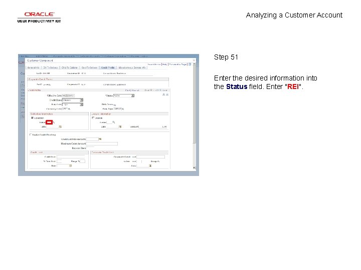 Analyzing a Customer Account Step 51 Enter the desired information into the Status field.