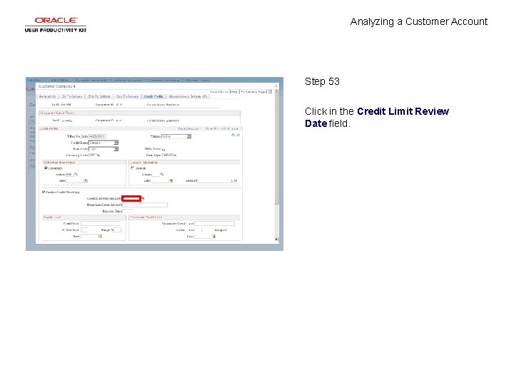 Analyzing a Customer Account Step 53 Click in the Credit Limit Review Date field.