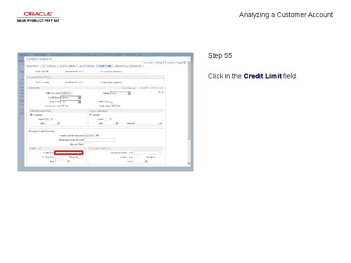 Analyzing a Customer Account Step 55 Click in the Credit Limit field. 