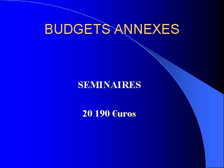 BUDGETS ANNEXES SEMINAIRES 20 190 €uros 
