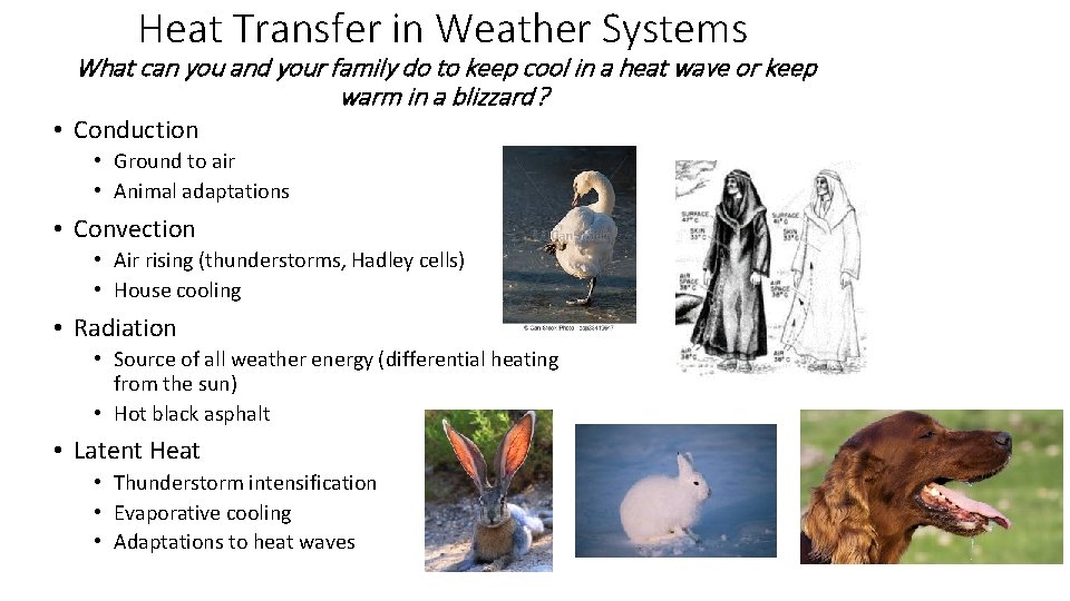 Heat Transfer in Weather Systems What can you and your family do to keep