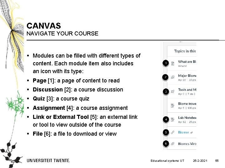 CANVAS NAVIGATE YOUR COURSE § Modules can be filled with different types of content.