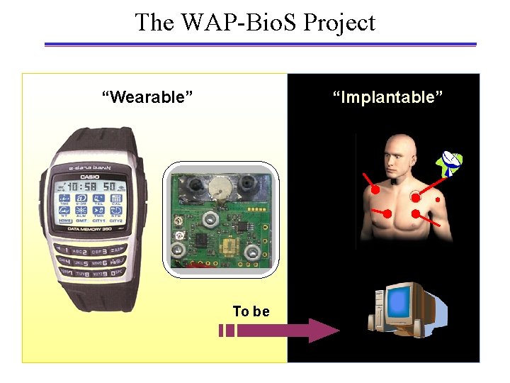 The WAP-Bio. S Project “Wearable” “Implantable” To be 