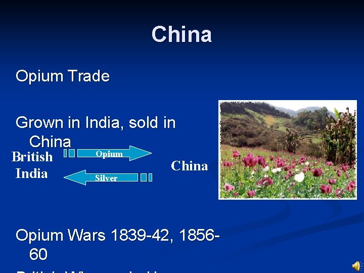 China Opium Trade Grown in India, sold in China British India Opium Silver China