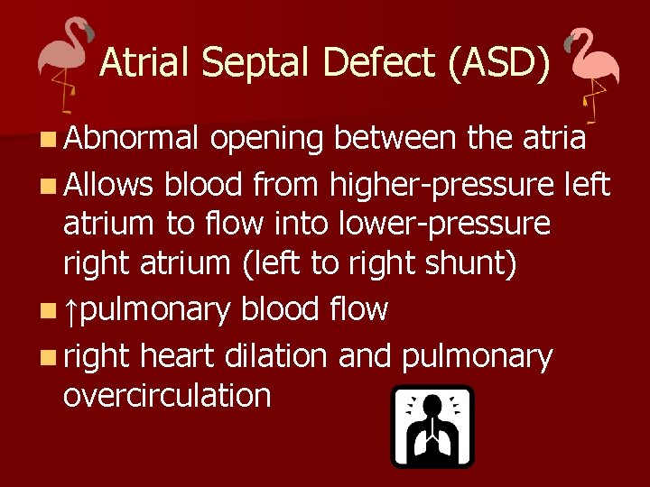 Atrial Septal Defect (ASD) n Abnormal opening between the atria n Allows blood from