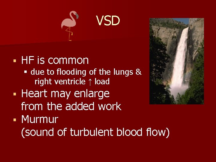 VSD § HF is common § due to flooding of the lungs & right