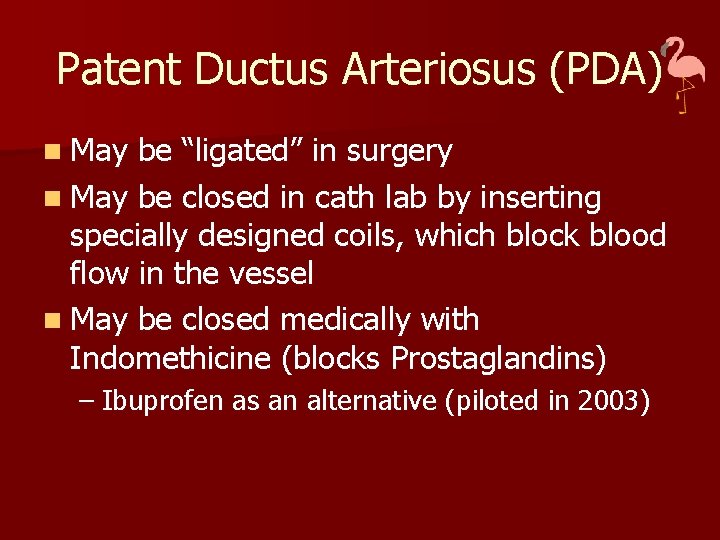 Patent Ductus Arteriosus (PDA) n May be “ligated” in surgery n May be closed