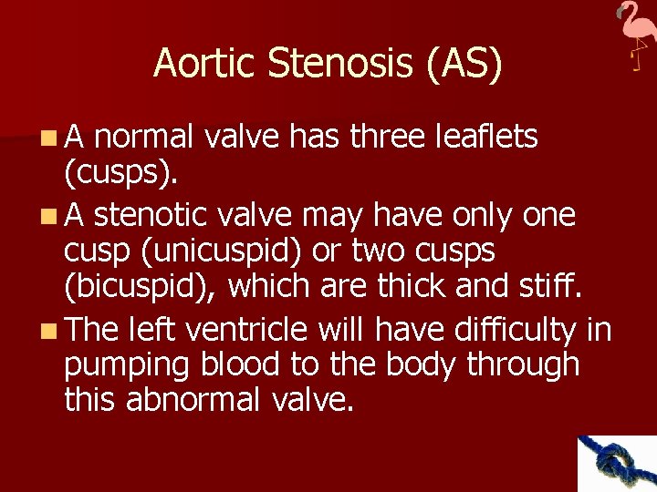 Aortic Stenosis (AS) n A normal valve has three leaflets (cusps). n A stenotic
