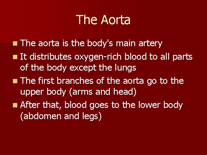 The Aorta n The aorta is the body's main artery n It distributes oxygen-rich