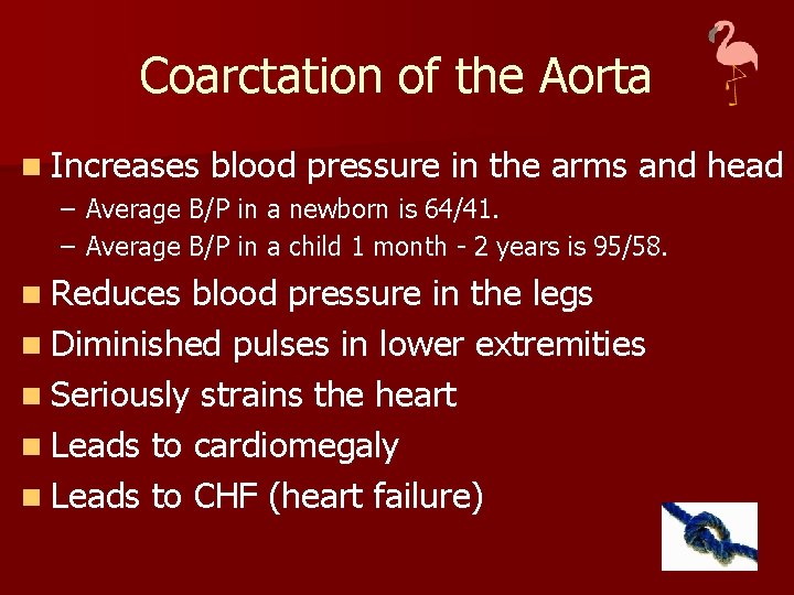 Coarctation of the Aorta n Increases blood pressure in the arms and head –