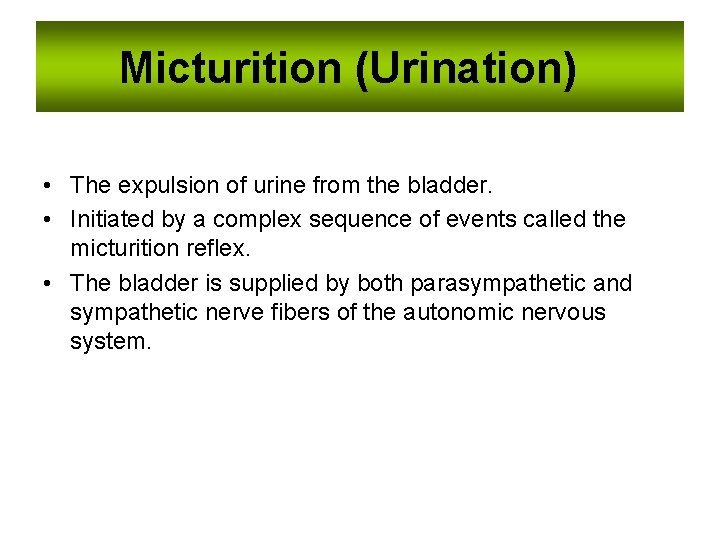 Micturition (Urination) • The expulsion of urine from the bladder. • Initiated by a