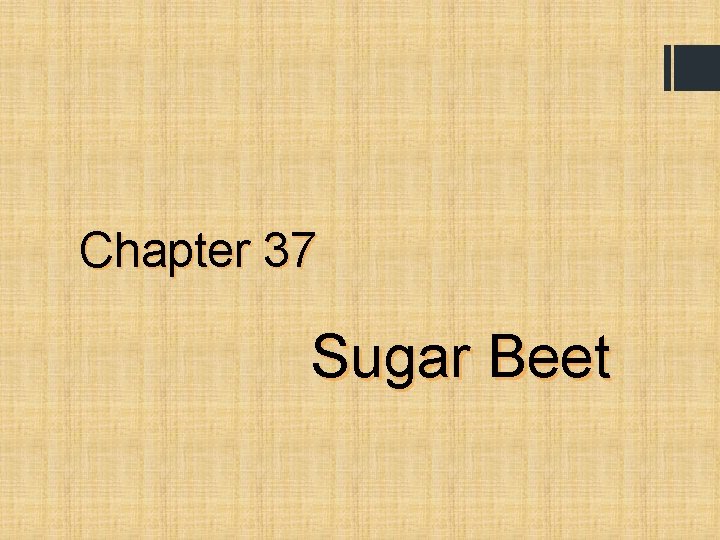 Chapter 37 Sugar Beet 