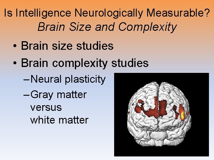 Is Intelligence Neurologically Measurable? Brain Size and Complexity • Brain size studies • Brain