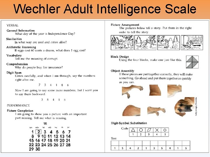 Wechler Adult Intelligence Scale 