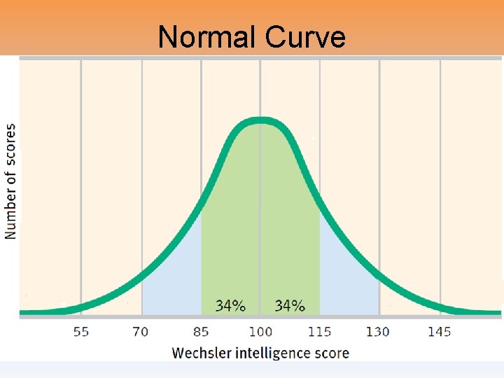 Normal Curve 