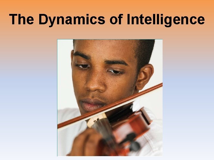 The Dynamics of Intelligence 