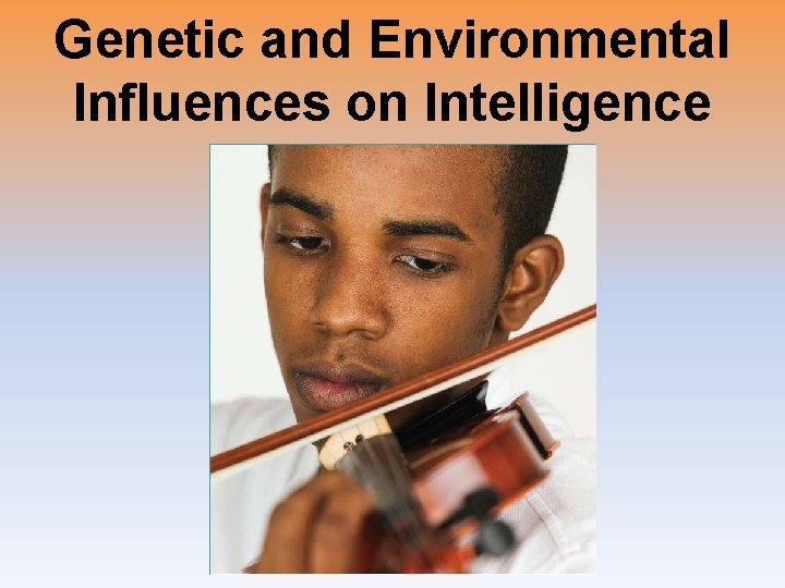 Genetic and Environmental Influences on Intelligence 