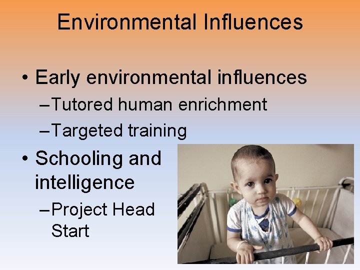 Environmental Influences • Early environmental influences – Tutored human enrichment – Targeted training •