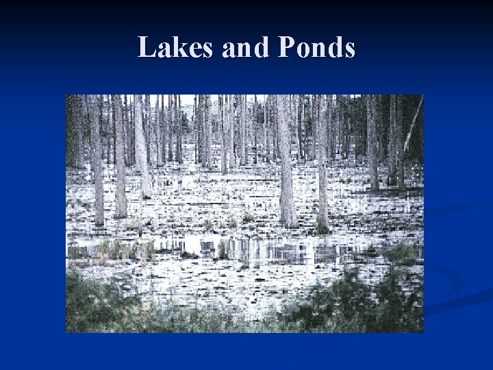 Lakes and Ponds 