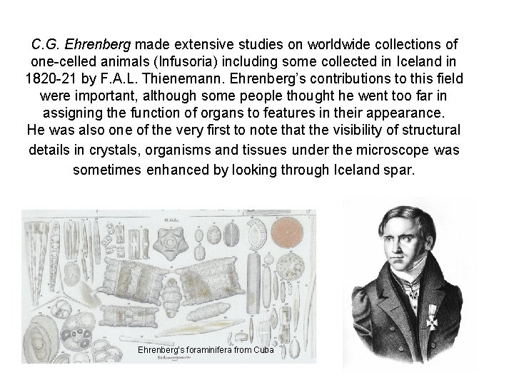 C. G. Ehrenberg made extensive studies on worldwide collections of one-celled animals (Infusoria) including