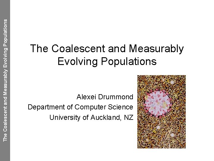 The Coalescent and Measurably Evolving Populations Alexei Drummond Department of Computer Science University of