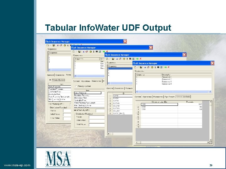 Tabular Info. Water UDF Output www. msa-ep. com 29 