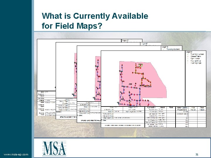 What is Currently Available for Field Maps? www. msa-ep. com 31 