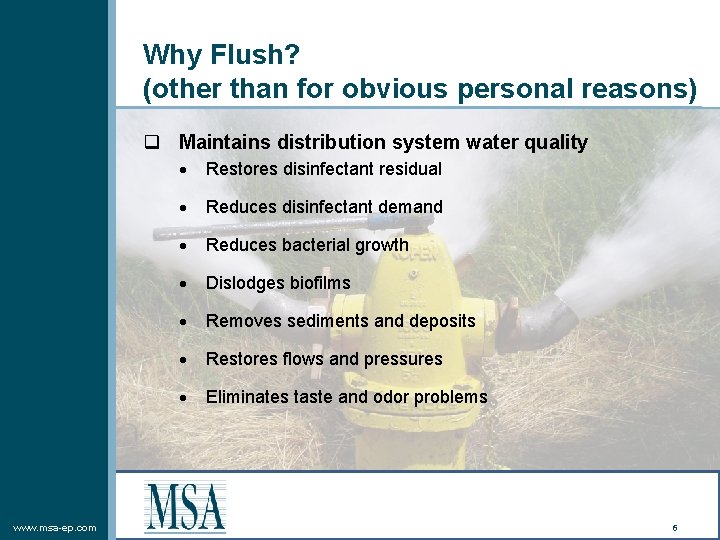 Why Flush? (other than for obvious personal reasons) q Maintains distribution system water quality