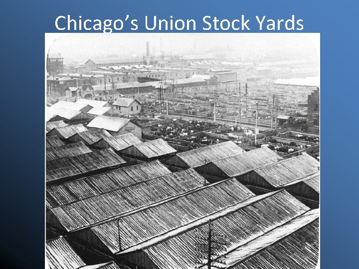 Chicago’s Union Stock Yards 