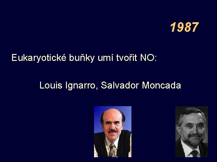 1987 Eukaryotické buňky umí tvořit NO: Louis Ignarro, Salvador Moncada 