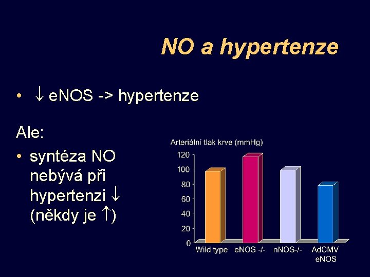NO a hypertenze • e. NOS -> hypertenze Ale: • syntéza NO nebývá při