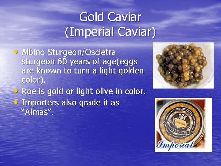Gold Caviar (Imperial Caviar) • Albino Sturgeon/Oscietra • • sturgeon 60 years of age(eggs
