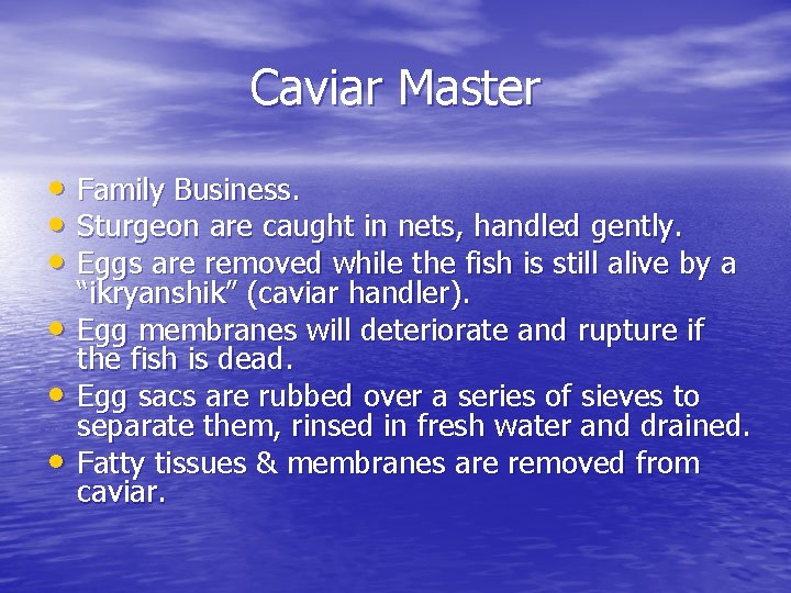 Caviar Master • Family Business. • Sturgeon are caught in nets, handled gently. •
