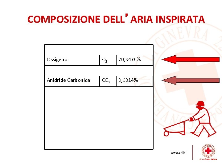 COMPOSIZIONE DELL’ARIA INSPIRATA Azoto N 2 78, 084% Ossigeno O 2 20, 9476% Argo