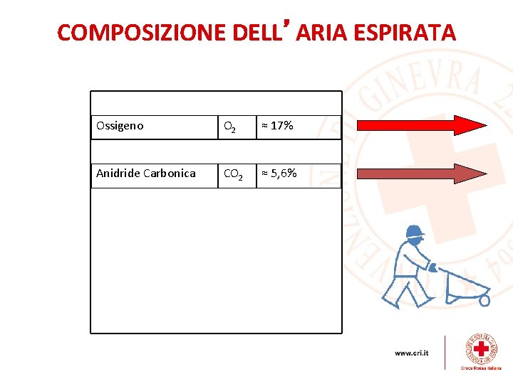 COMPOSIZIONE DELL’ARIA ESPIRATA Azoto N 2 78, 084% Ossigeno O 2 ≈ 17% Argo