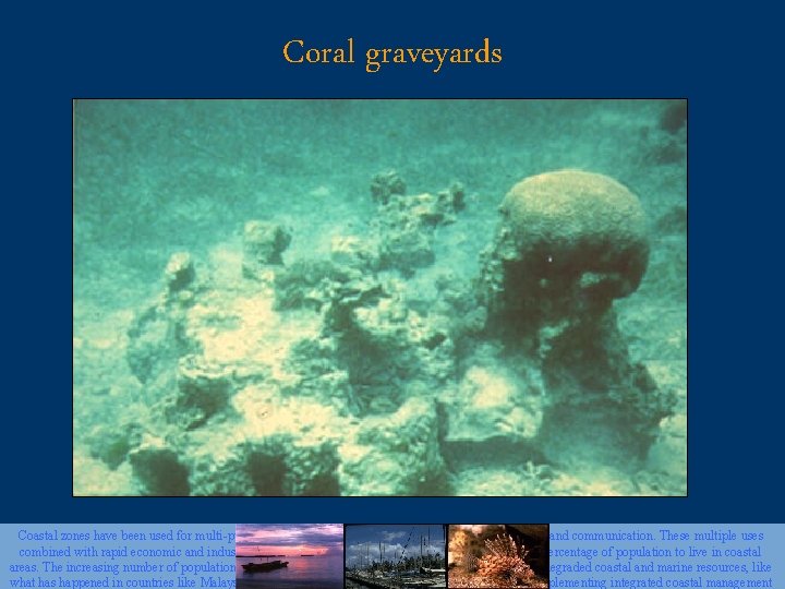 Coral graveyards Coastal zones have been used for multi-purposes including tourism, fisheries, transportation, mining,