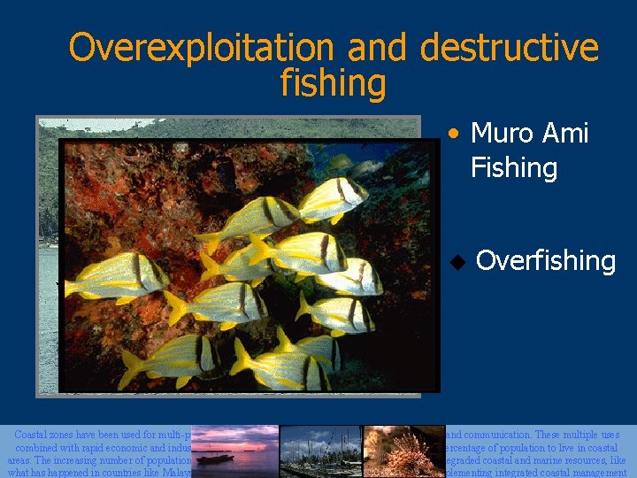 Overexploitation and destructive fishing • Muro Ami Fishing u Overfishing Coastal zones have been
