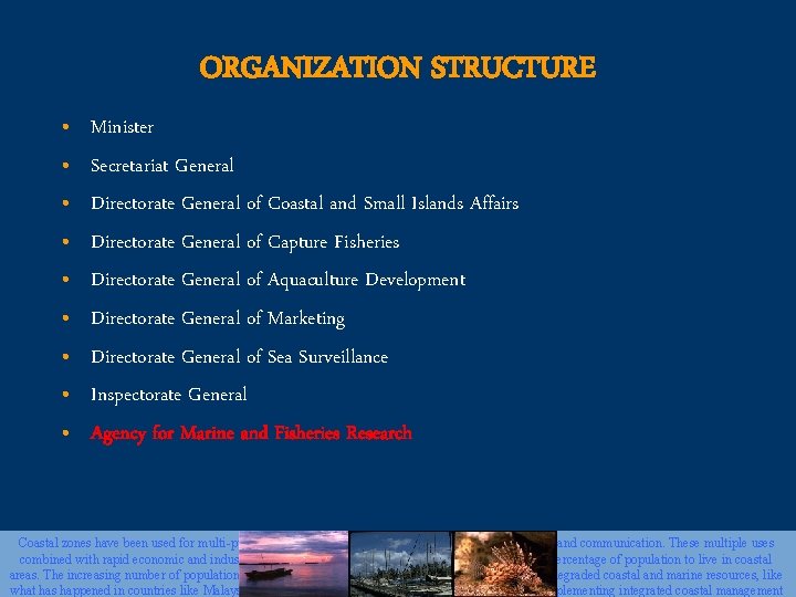 ORGANIZATION STRUCTURE • • • Minister Secretariat General Directorate General of Coastal and Small