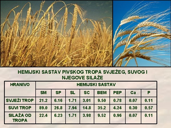 HEMIJSKI SASTAV PIVSKOG TROPA SVJEŽEG, SUVOG I NJEGOVE SILAŽE HRANIVO HEMIJSKI SASTAV SM SP