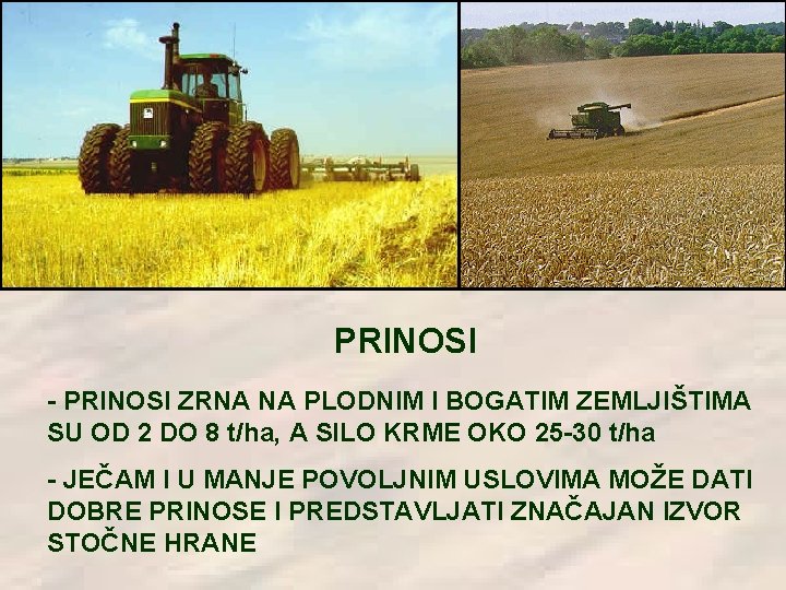 PRINOSI - PRINOSI ZRNA NA PLODNIM I BOGATIM ZEMLJIŠTIMA SU OD 2 DO 8