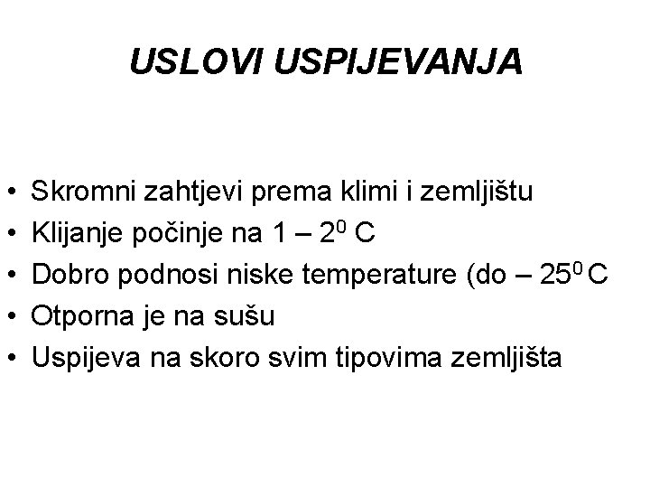 USLOVI USPIJEVANJA • • • Skromni zahtjevi prema klimi i zemljištu Klijanje počinje na